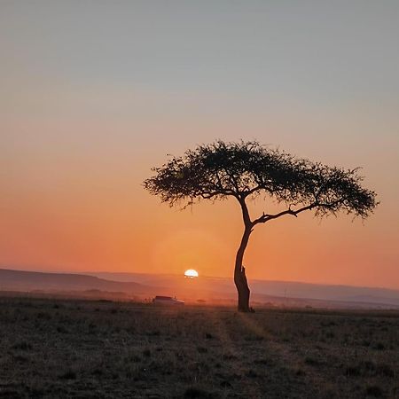 Osikinai Mara Guest House Sekenani Exteriör bild